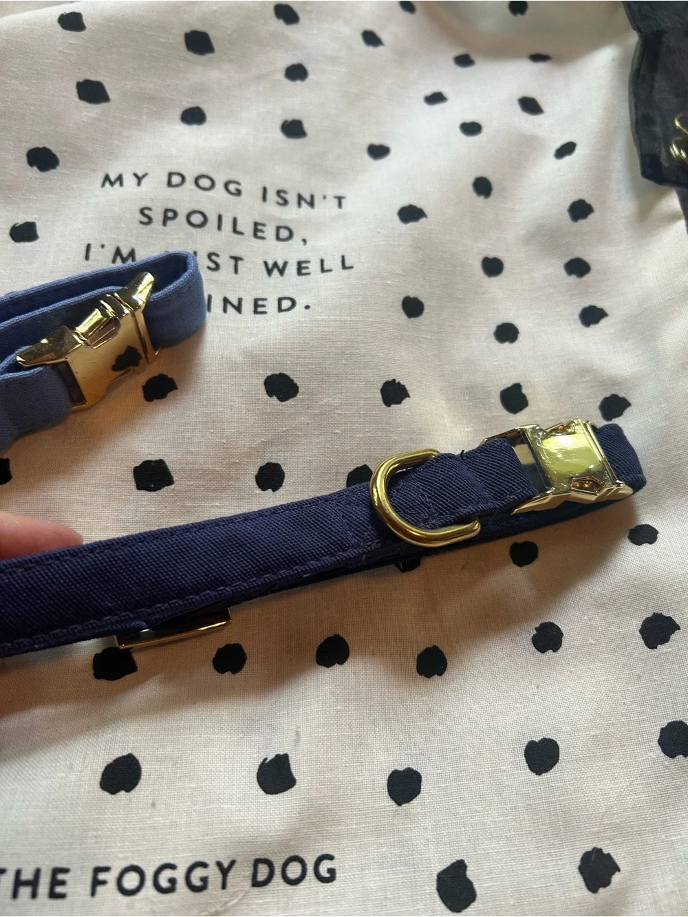 2 The Foggy Dog Adjustable Dog Collars - Navy and light blue. Small